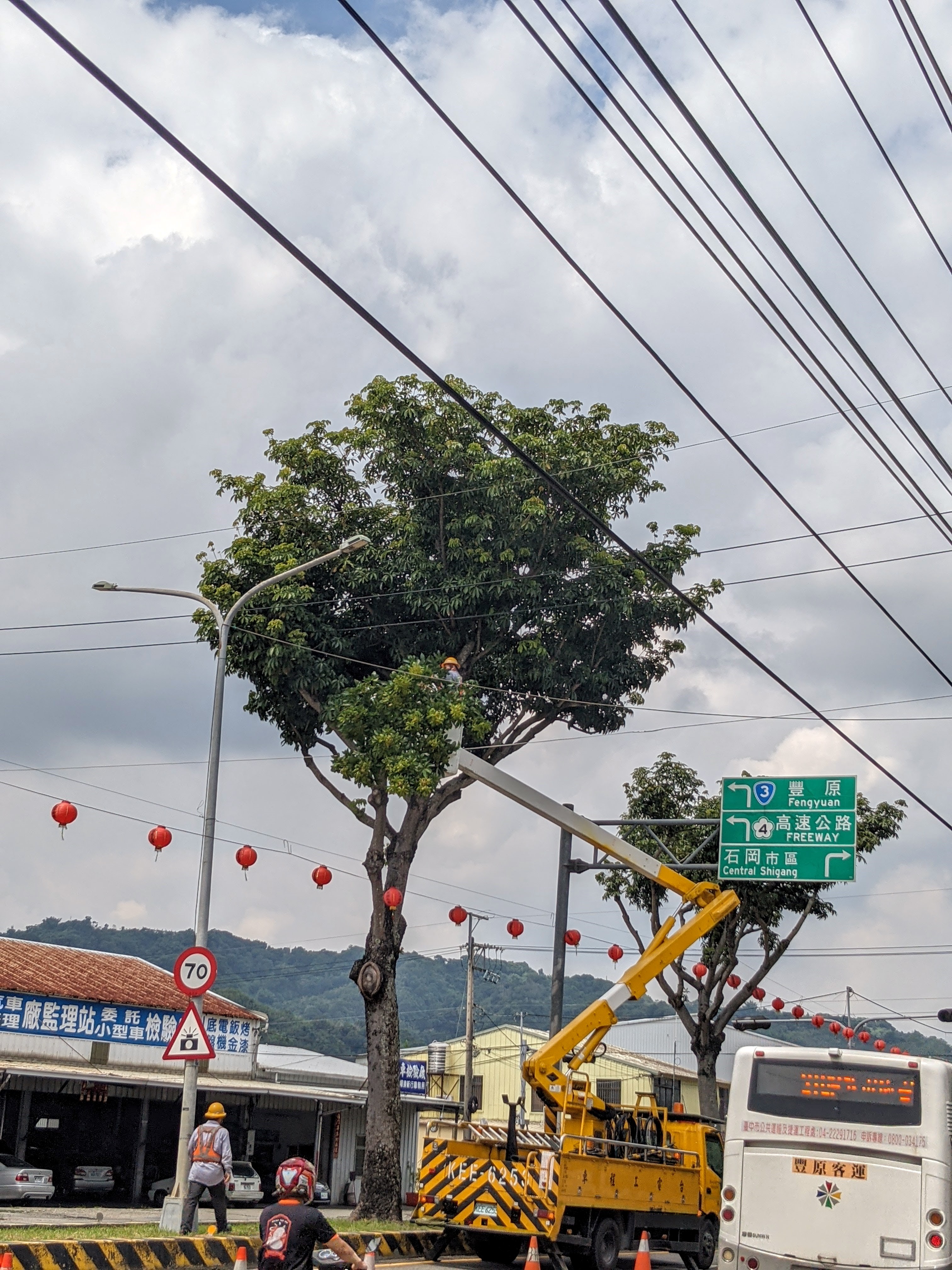 照片說明：台電人員於颱風來臨前加強樹木修剪作業
