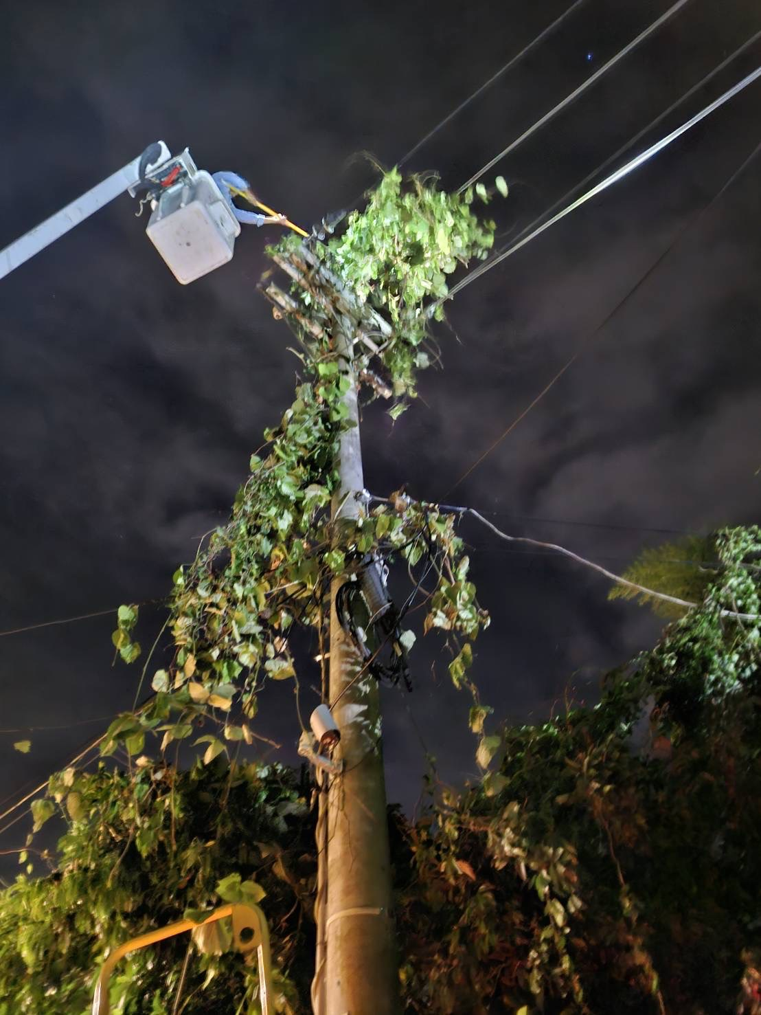 颱風來襲前，台電南投區處加強樹木修剪維護和線路設備巡檢等，以降低颱風可能造成的停電風險，確保電力穩定供應。