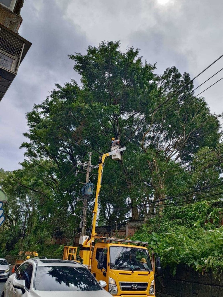 台電北北區處加強戒備修剪樹木(資料圖片)
